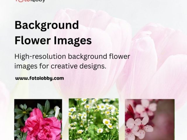 background-flower-images-by-fotolobby