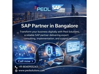 sap-partner-in-bangalore-sap-partner-small-0