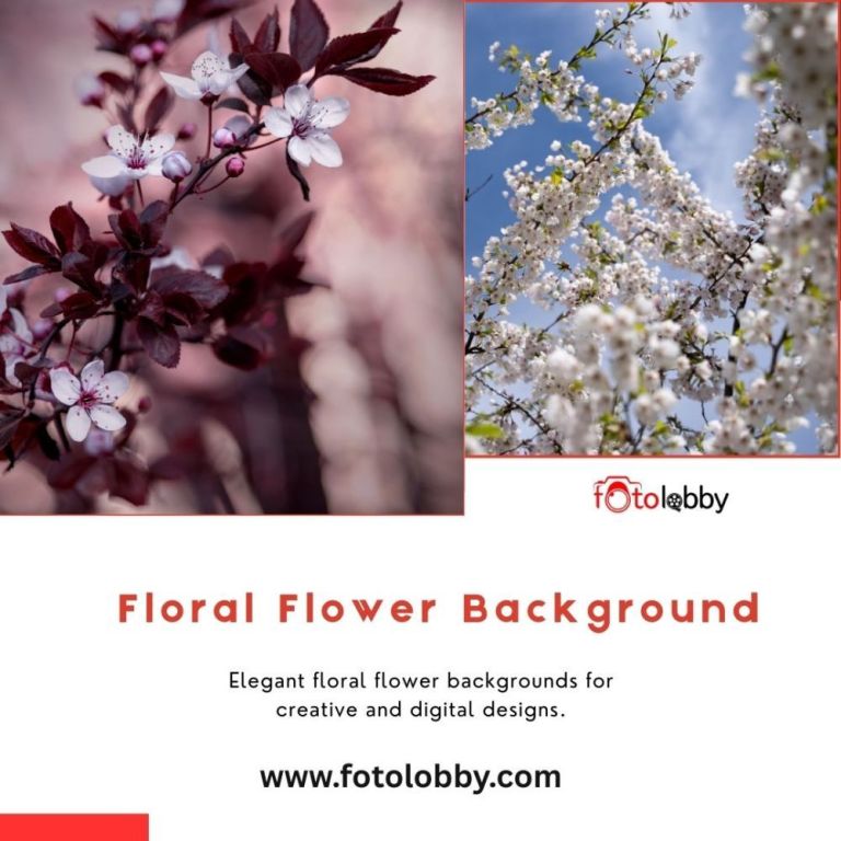 floral-flower-background-by-fotolobby-big-0