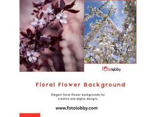 floral-flower-background-by-fotolobby-small-0