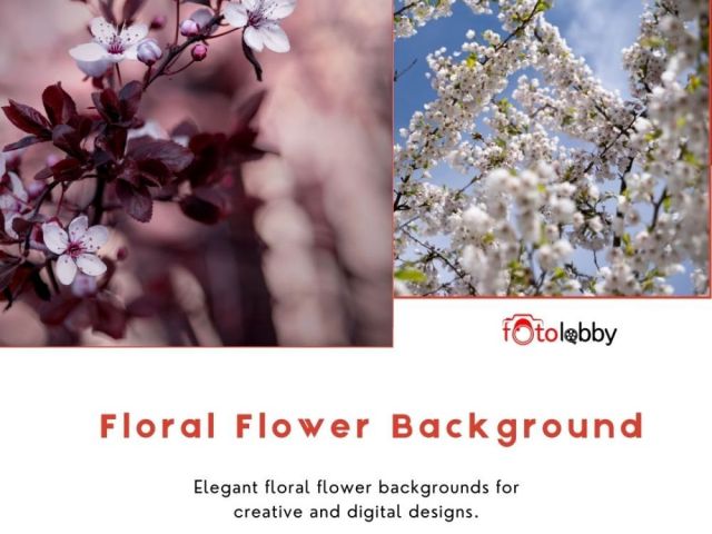 floral-flower-background-by-fotolobby