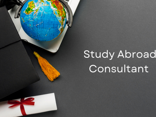 best-study-abroad-consultants-in-chennai