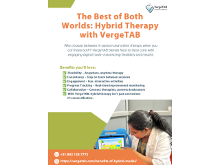 hybrid-therapy-model-for-special-education-small-0
