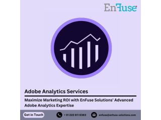 maximize-marketing-roi-with-advanced-adobe-analytics-expertise-small-0