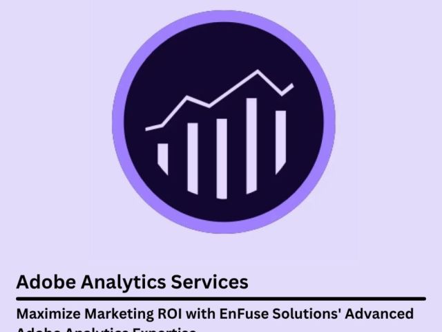 maximize-marketing-roi-with-advanced-adobe-analytics-expertise