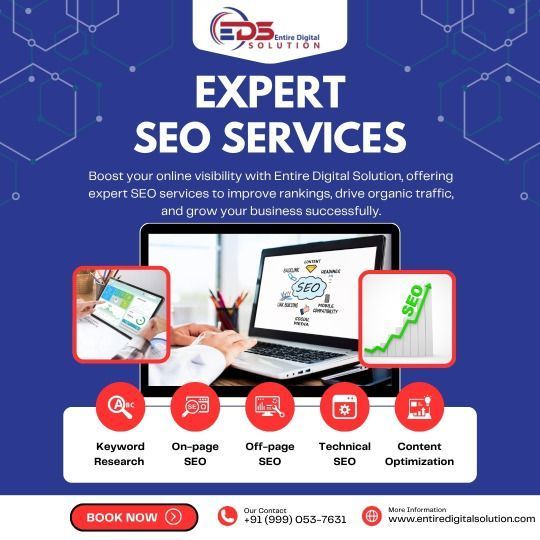 seo-company-in-noida-for-higher-search-visibility-online-big-0