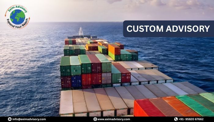 experts-for-custom-advisory-services-exim-advisory-big-0
