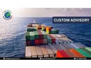 experts-for-custom-advisory-services-exim-advisory-small-0