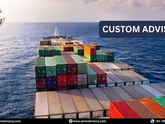 experts-for-custom-advisory-services-exim-advisory