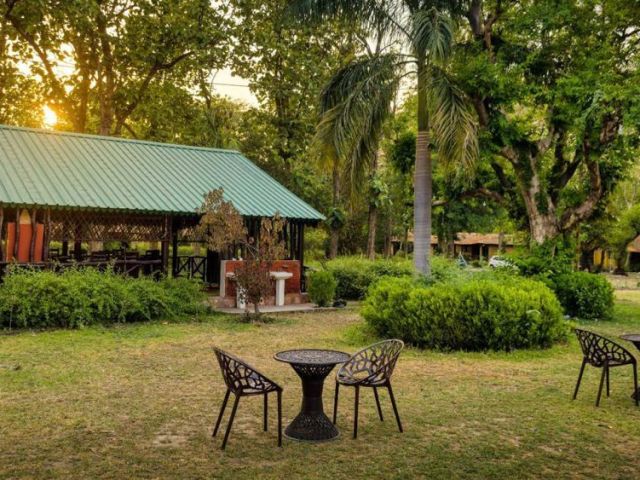 jungle-resort-in-jim-corbett-stay-close-to-nature