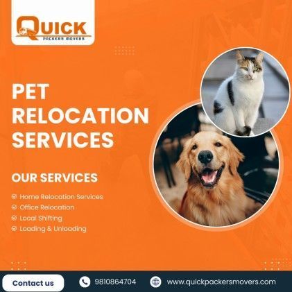safe-pet-relocation-services-quick-packers-movers-big-0
