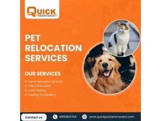 safe-pet-relocation-services-quick-packers-movers-small-0