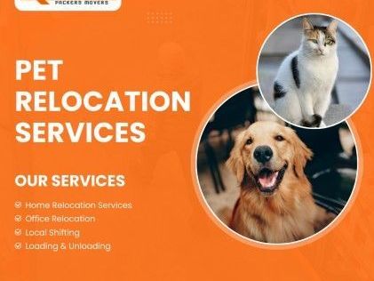 safe-pet-relocation-services-quick-packers-movers