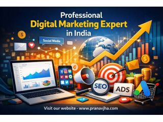 professional-digital-marketing-expert-in-india-small-0