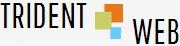 website-designing-pune-india-at-trident-web-infoservices-big-0