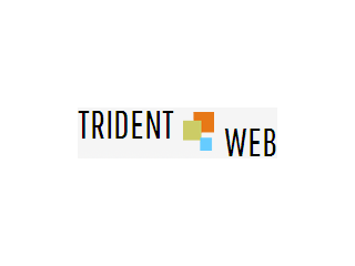 website-designing-pune-india-at-trident-web-infoservices-small-0