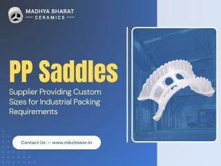 industrial-grade-pp-saddles-exporter-for-efficient-tower-packing-small-0