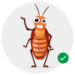 expert-cockroach-control-services-in-chandigarh-big-0