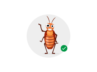 expert-cockroach-control-services-in-chandigarh-small-0