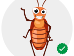 expert-cockroach-control-services-in-chandigarh