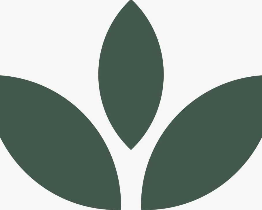 luxe-spa-and-wellness-center-best-body-massage-spa-in-raipur