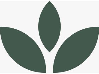 luxe-spa-and-wellness-center-best-body-massage-spa-in-raipur-small-0