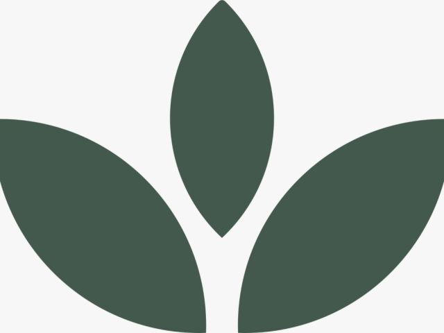 luxe-spa-and-wellness-center-best-body-massage-spa-in-raipur
