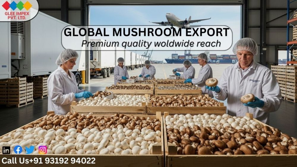 reliable-mushrooms-exporter-in-india-fresh-quality-big-0