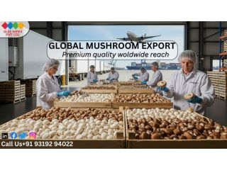 reliable-mushrooms-exporter-in-india-fresh-quality-small-0