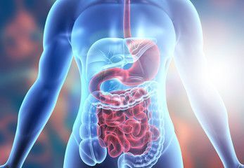 expert-care-for-functional-gi-disorders-in-ahmedabad-big-0