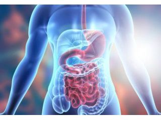 expert-care-for-functional-gi-disorders-in-ahmedabad-small-0