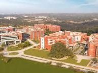 discovering-bsc-clinical-psychology-colleges-in-gurugram