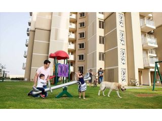 buying-and-selling-of-properties-with-naveen-associates-small-0