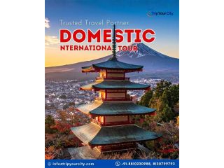 book-cheap-flights-with-professional-flight-booking-agents-noida-small-0