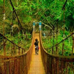 book-the-perfect-north-east-tour-package-big-4