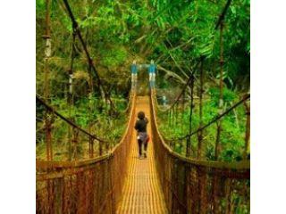 book-the-perfect-north-east-tour-package-small-4