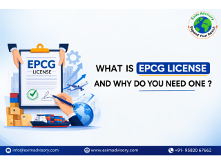 expert-epcg-license-support-for-exporters-exim-advisory-small-0