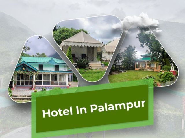 hotel-in-palampur-with-premium-comfort-and-views
