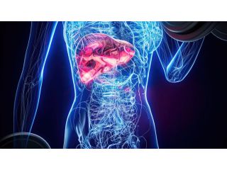 liver-enzymes-explained-what-high-levels-really-mean-small-0