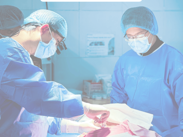 trusted-robotic-surgeon-in-mumbai-for-safe-effective-treatment