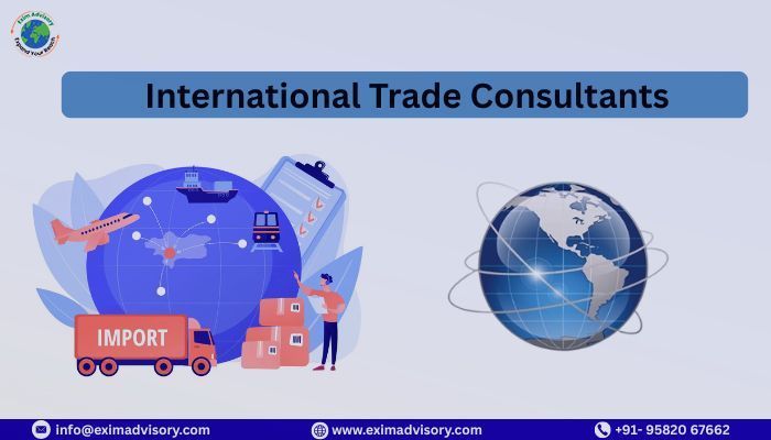professional-international-trade-consultants-exim-advisory-big-0