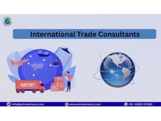 professional-international-trade-consultants-exim-advisory-small-0