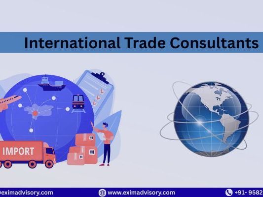 professional-international-trade-consultants-exim-advisory