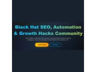 blackhat-seo-expert-small-0