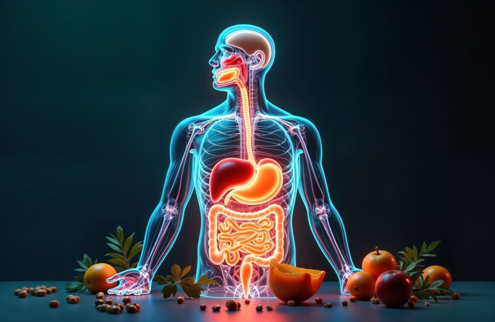 why-skipping-meals-damages-your-digestive-system-big-0