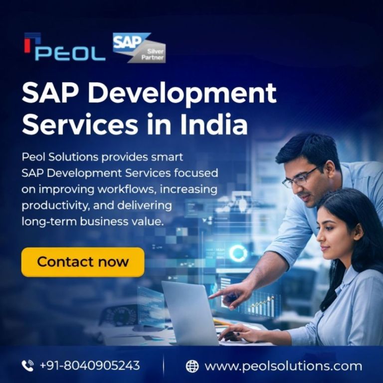 sap-development-services-in-india-sap-services-big-0