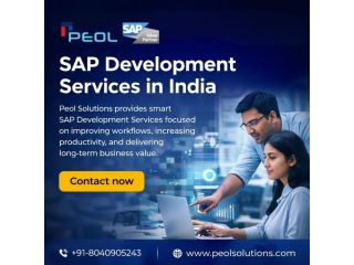 sap-development-services-in-india-sap-services-small-0