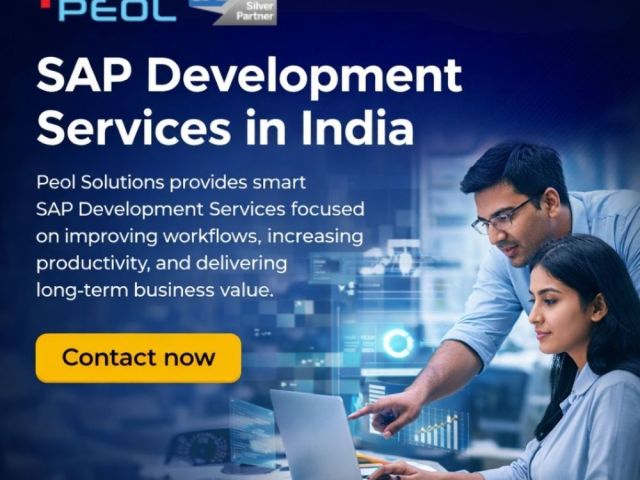 sap-development-services-in-india-sap-services
