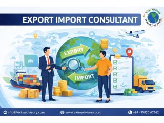 export-import-consultant-for-international-trade-exim-advisory-small-0