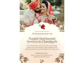 best-punjabi-matrimonial-services-in-chandigarh-small-0